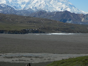 Denali National Park