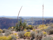 Grand Canyon National Park