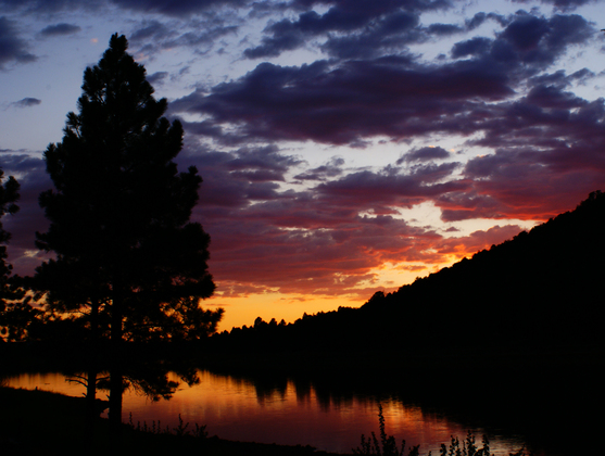 Kaibab National Forest