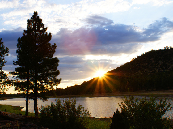 Kaibab National Forest