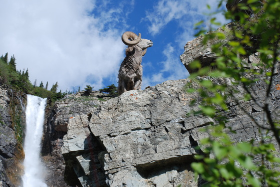 Glacier National Park