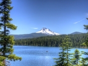 Mt Hood National Forest