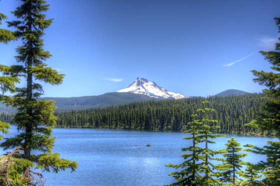 Mt Hood National Forest