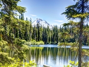 Mt Hood National forest