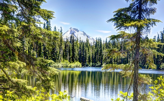 Mt Hood National forest
