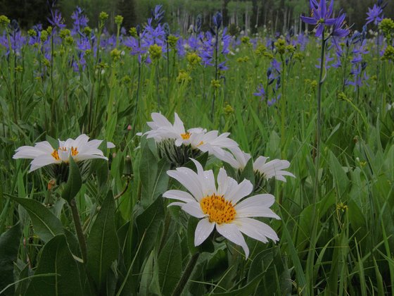 Grand Teton National Park