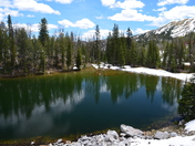Gallatin National Forest
