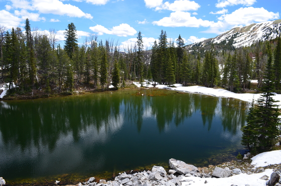 Gallatin National Forest