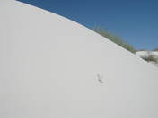 White Sands