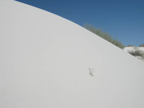 White Sands