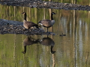 Cuyahoga Valley National Park (Ohio)