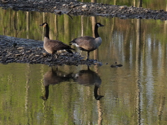 Cuyahoga Valley National Park (Ohio)