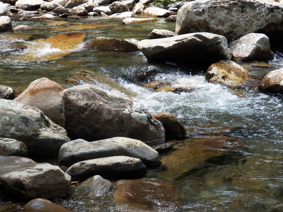 Smoky Mountain National Park