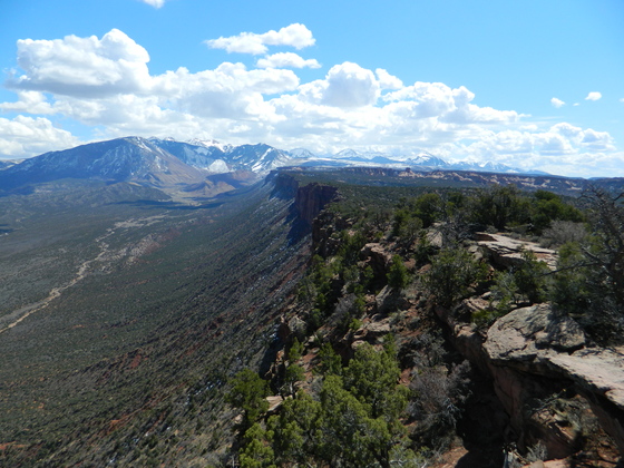 Lasale Mountian Range, Moab Utah