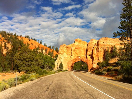 Dixe National Forest