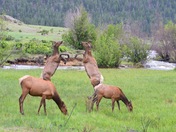 Rocky Mountain National Park