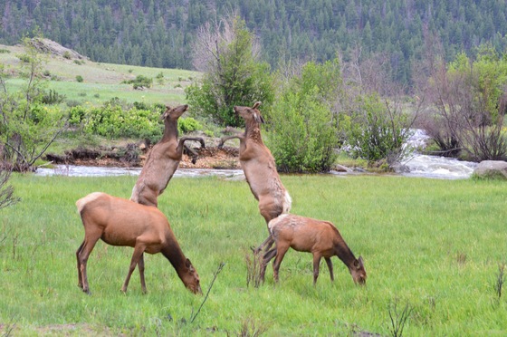 Rocky Mountain National Park