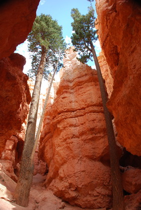 Bryce Canyon National Park