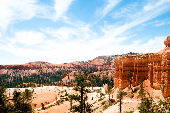 Bryce canyon