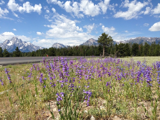 Grand Teton National Park