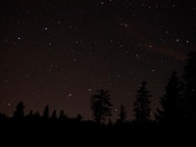 Sequoia National Park