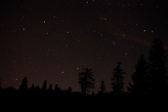 Sequoia National Park