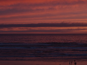 olympic national park