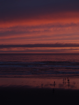 olympic national park