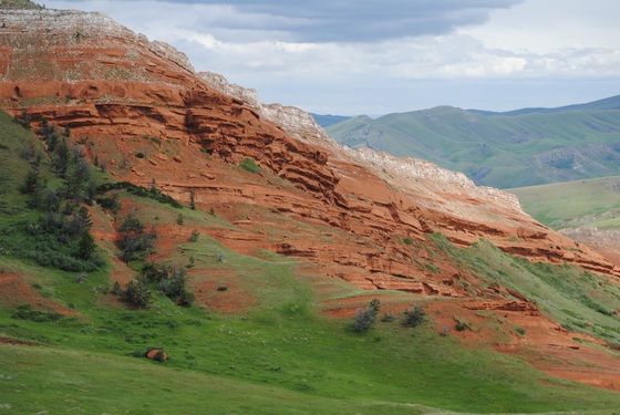 Shoshone National Forest