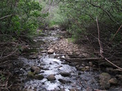 San Isabel Colorado