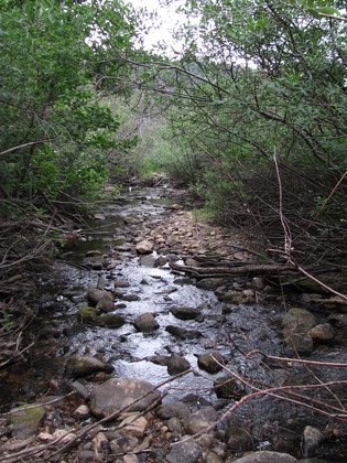 San Isabel Colorado