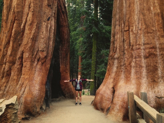 Sequoia National Park