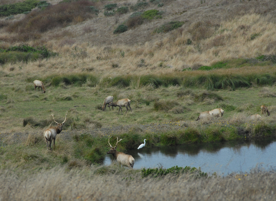 Point Reyes National Seashore