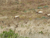 Point Reyes National Seashore