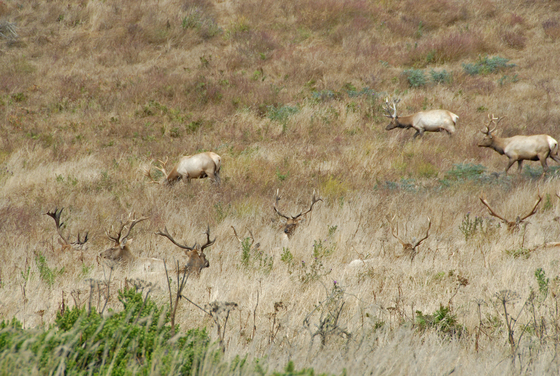 Point Reyes National Seashore