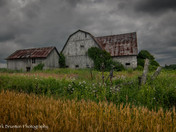 Old barn near Napanee Ont