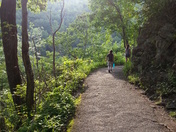 Great Smoky Mountains National Park