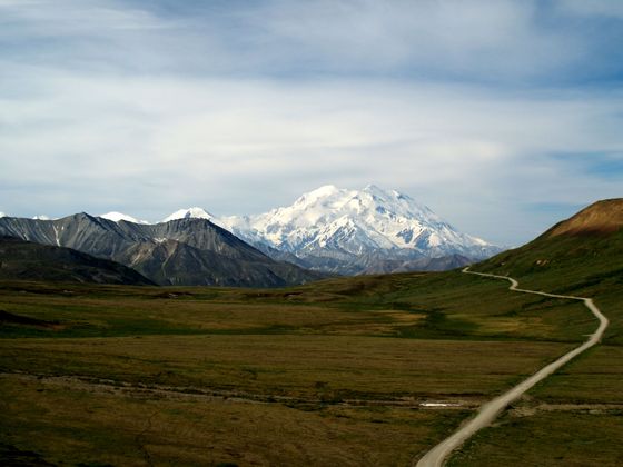 Denali National Park