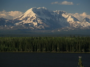 Denali National Park, Aalaska.