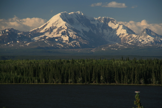Denali National Park, Aalaska.