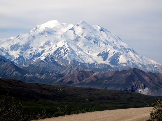 denali national park