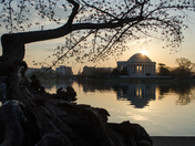 Naltion Mall/Tidal Basin