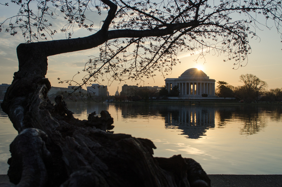 Naltion Mall/Tidal Basin