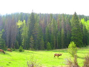 Rocky Mountain National Park