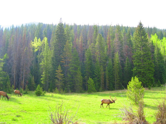 Rocky Mountain National Park