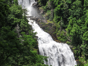 nantahala national forest