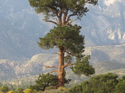 Great Sand Dunes National Park