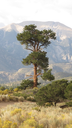 Great Sand Dunes National Park