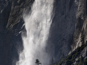 Yosemite National Park
