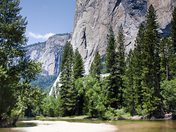 Yosemite National Park
